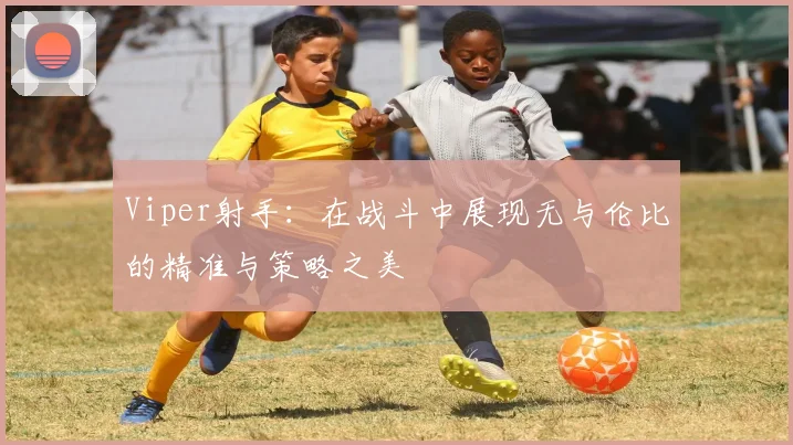 Viper射手：在战斗中展现无与伦比的精准与策略之美