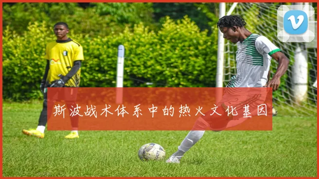 斯波战术体系中的热火文化基因